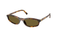 Tortoiseshell